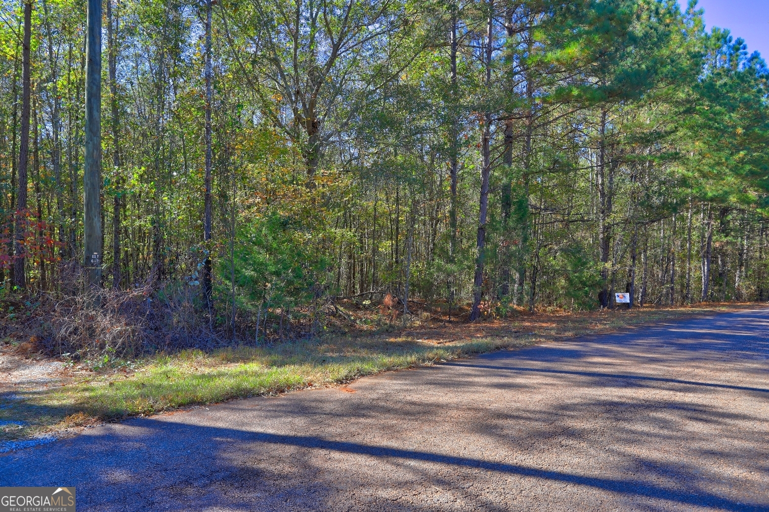 Lot 22 Shady Farms Road Monticello, GA 31064 - Photo 18 of 21 a view of a yard with plants and large trees