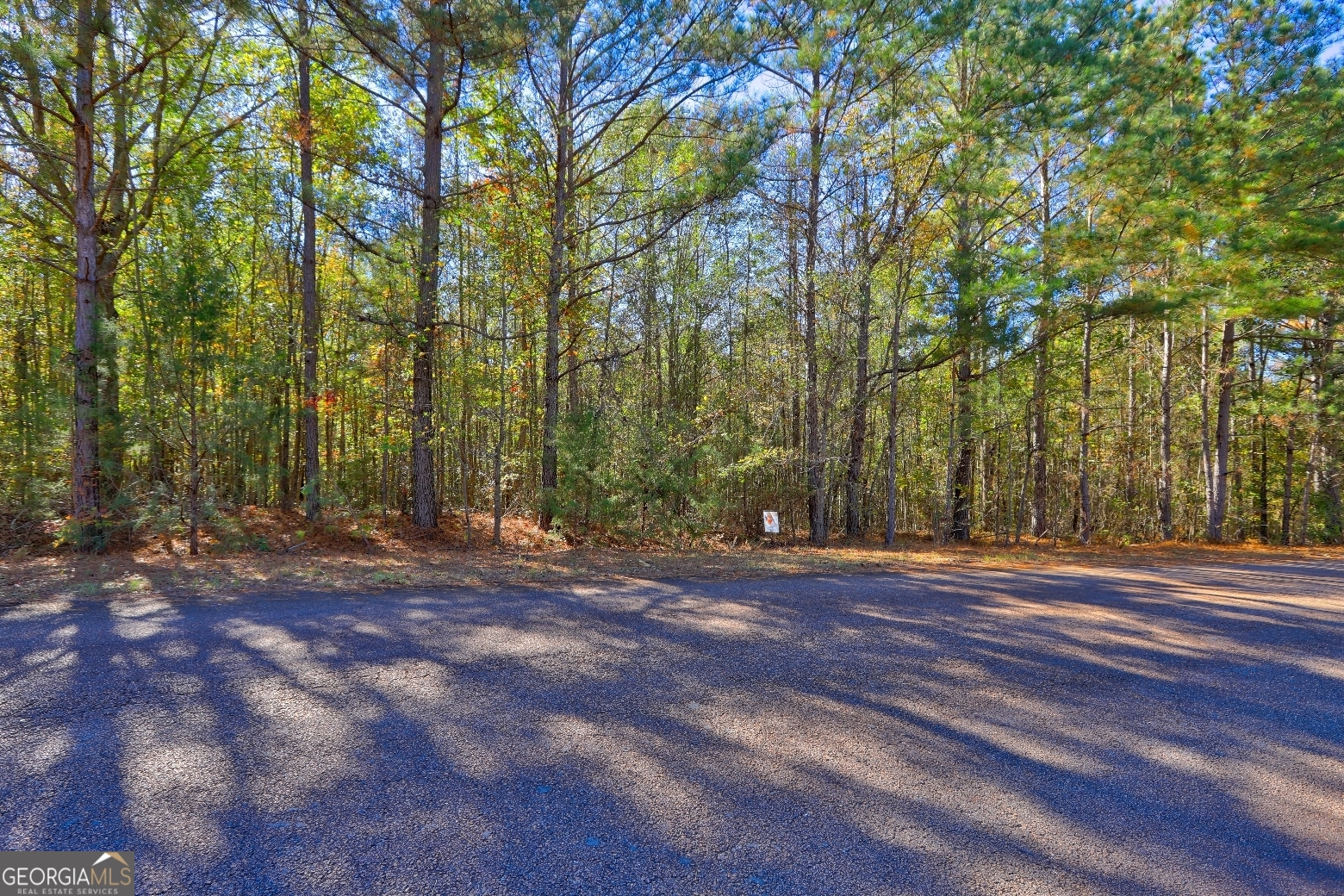 Lot 22 Shady Farms Road Monticello, GA 31064 - Photo 19 of 21 a view of a backyard with large trees