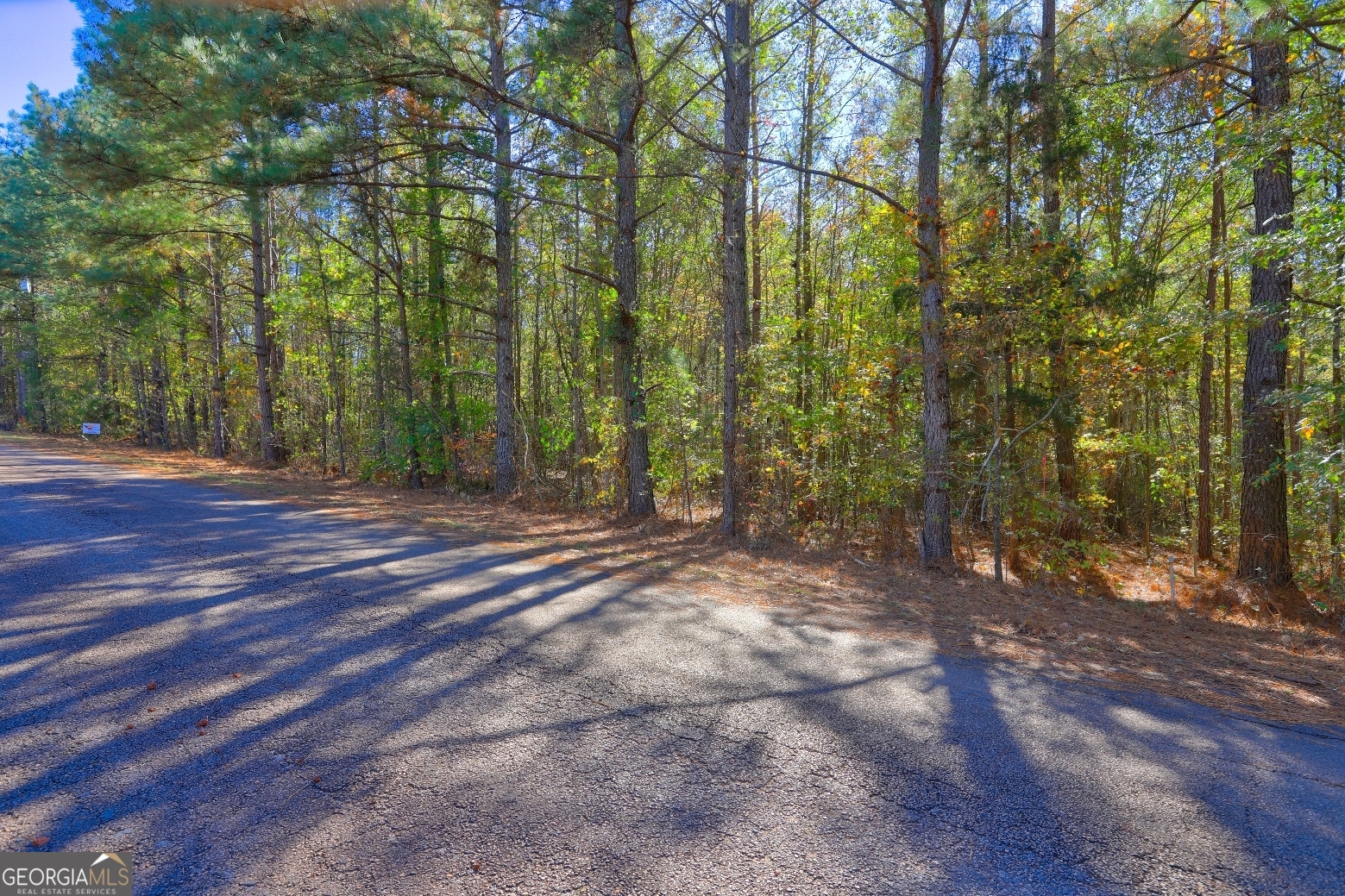 Lot 22 Shady Farms Road Monticello, GA 31064 - Photo 20 of 21 a view of outdoor space with trees