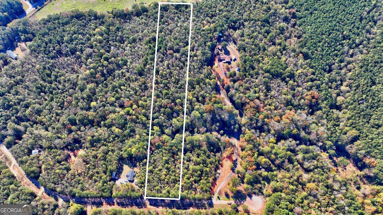 Lot 22 Shady Farms Road Monticello, GA 31064 - Photo 2 of 21