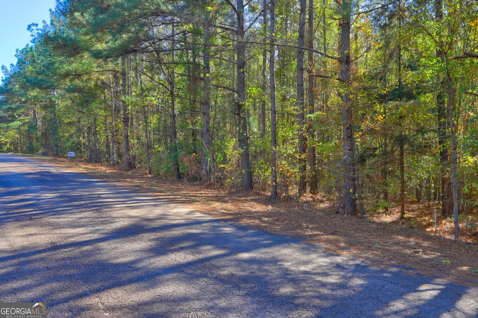 Lot 22 Shady Farms Road Monticello, GA 31064 - Photo 21 of 21 a view of a yard with trees in the background