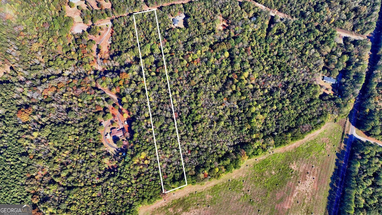 Lot 22 Shady Farms Road Monticello, GA 31064 - Photo 4 of 21