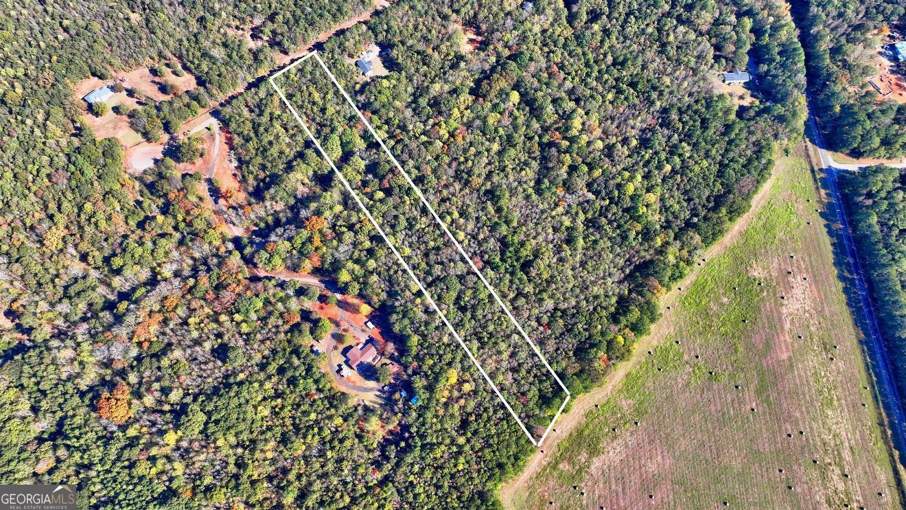 Lot 22 Shady Farms Road Monticello, GA 31064 - Photo 5 of 21