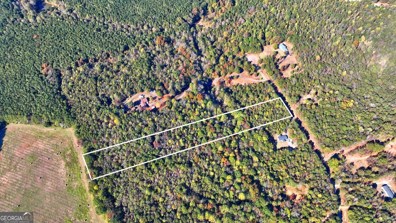 Lot 22 Shady Farms Road Monticello, GA 31064 - Photo 7 of 21