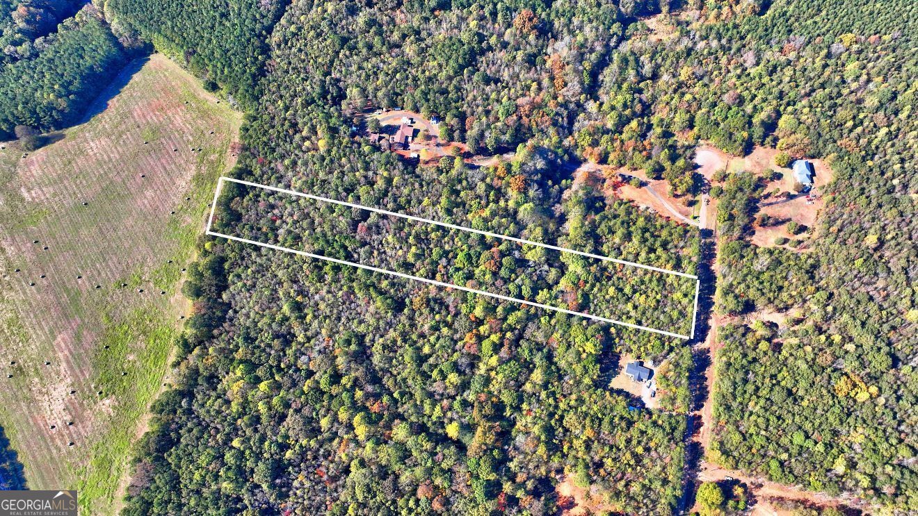 Lot 22 Shady Farms Road Monticello, GA 31064 - Photo 8 of 21