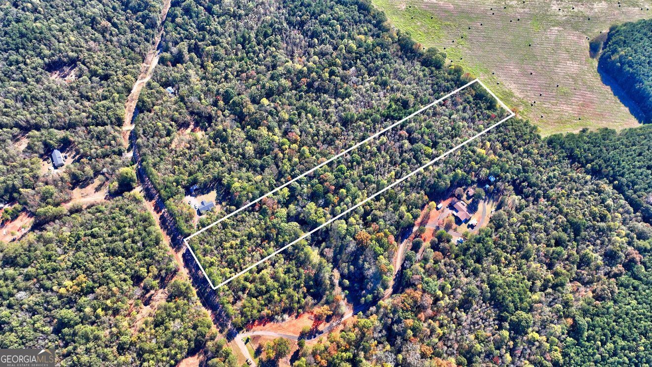 Lot 22 Shady Farms Road Monticello, GA 31064 - Photo 9 of 21