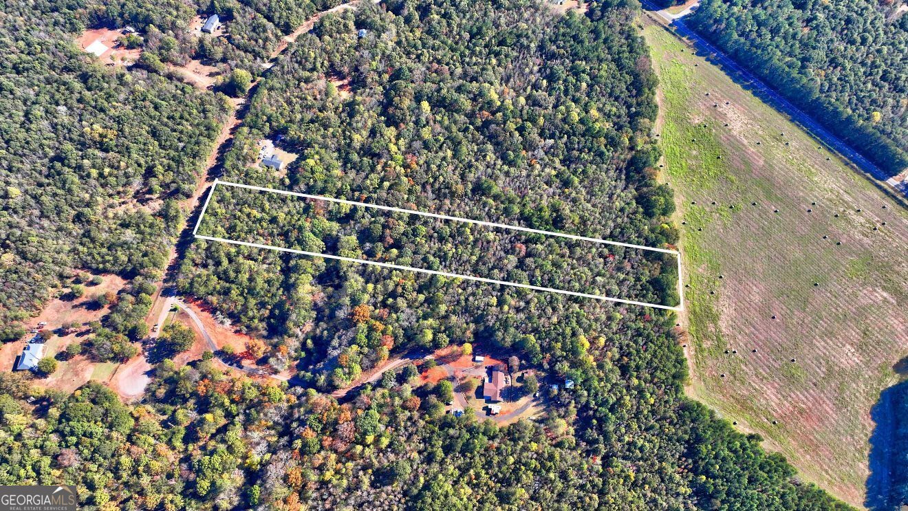 Lot 22 Shady Farms Road Monticello, GA 31064 - Photo 10 of 21