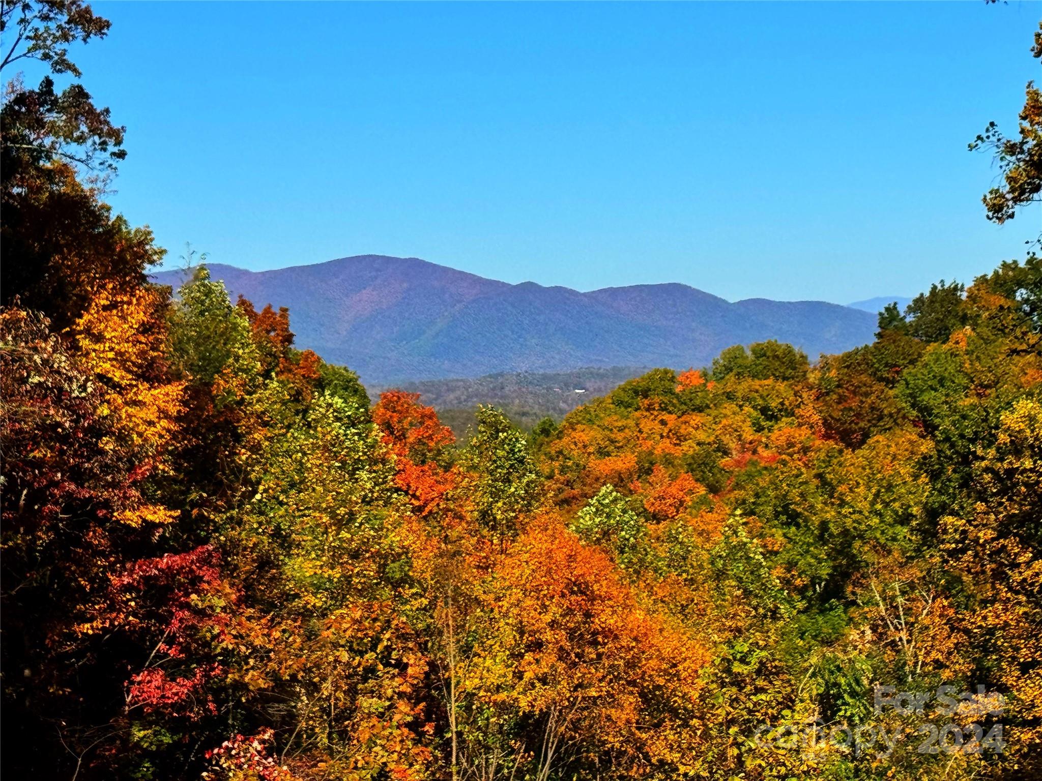 1329 Mitchell View Drive Old Fort, NC 28762 - Photo 4 of 48