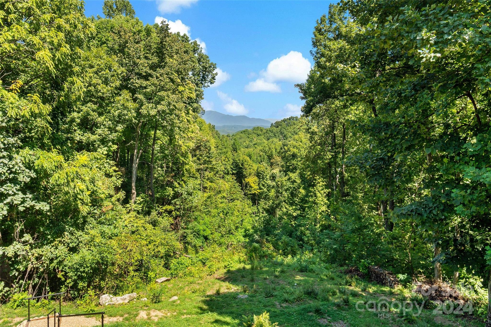 1329 Mitchell View Drive Old Fort, NC 28762 - Photo 45 of 48