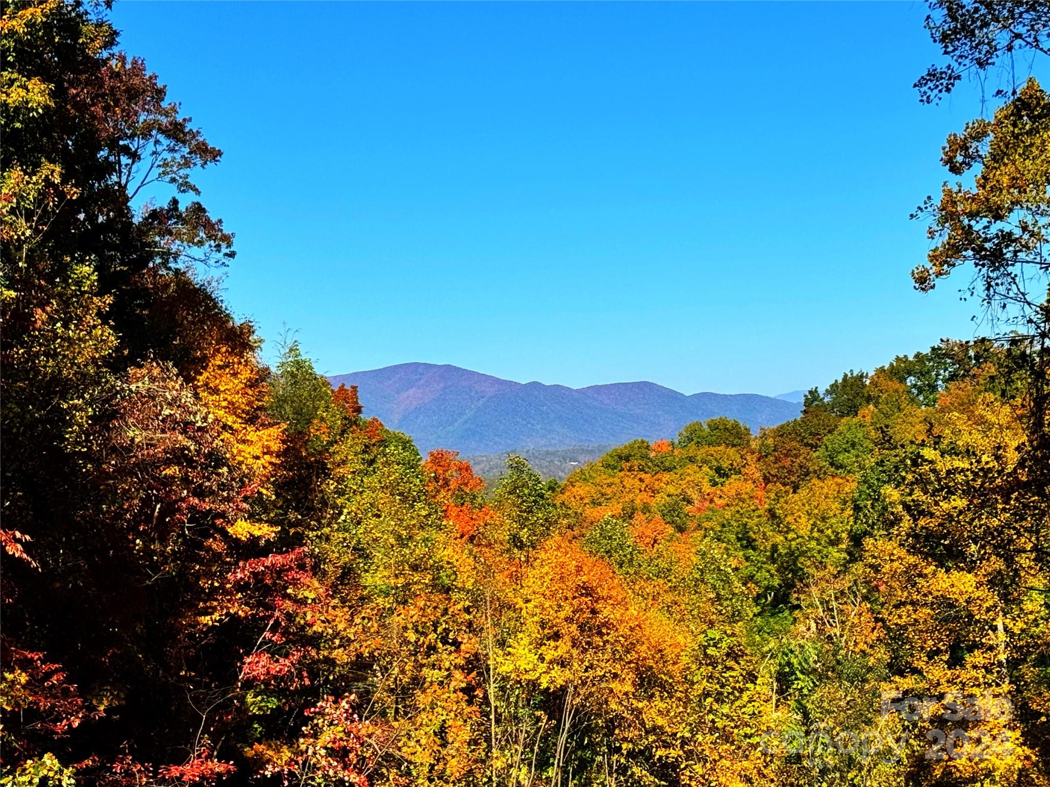 1329 Mitchell View Drive Old Fort, NC 28762 - Photo 5 of 48
