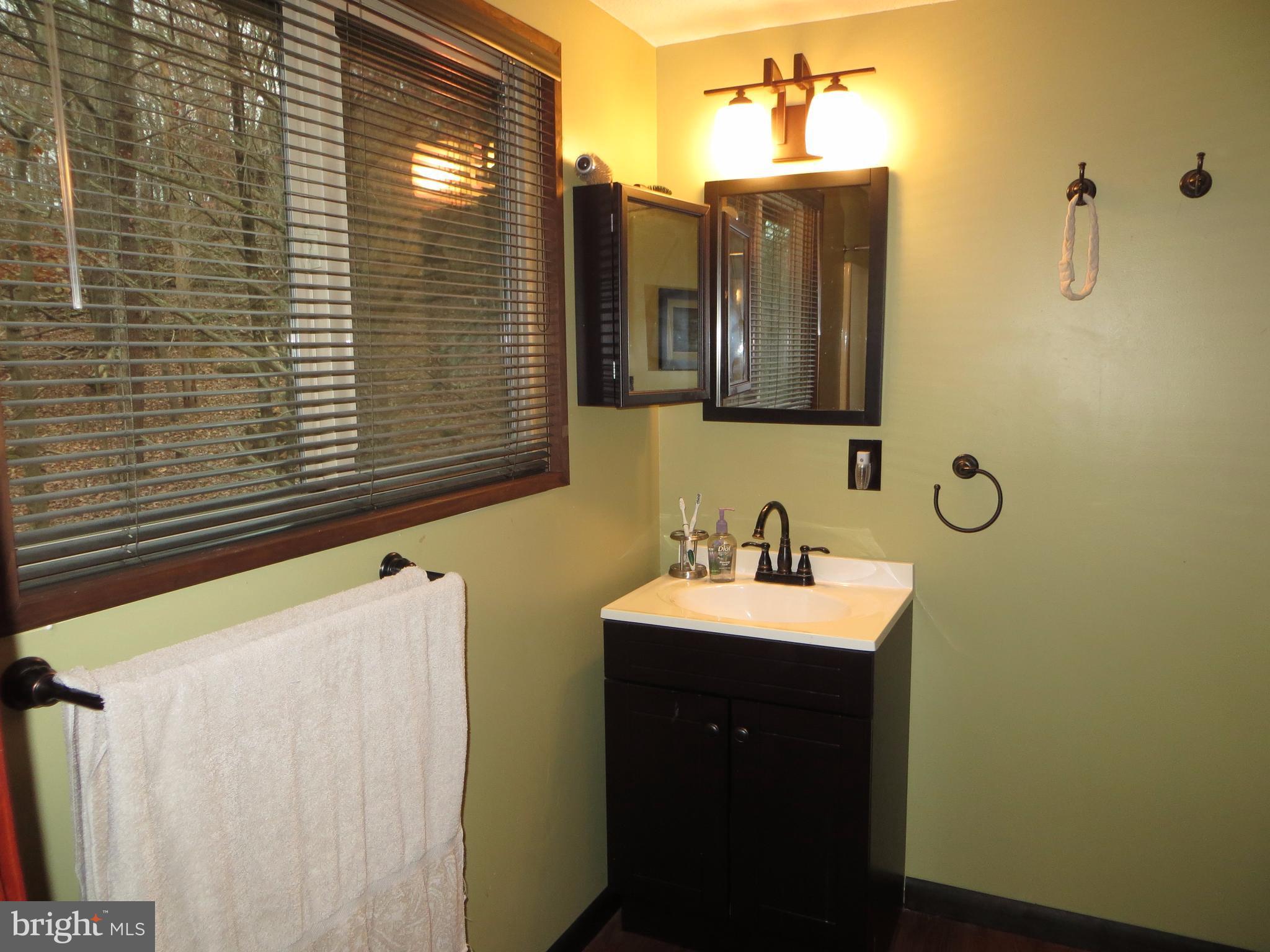622 Walden Road Hedgesville, WV 25427 - Photo 15 of 24 Full Master Bath