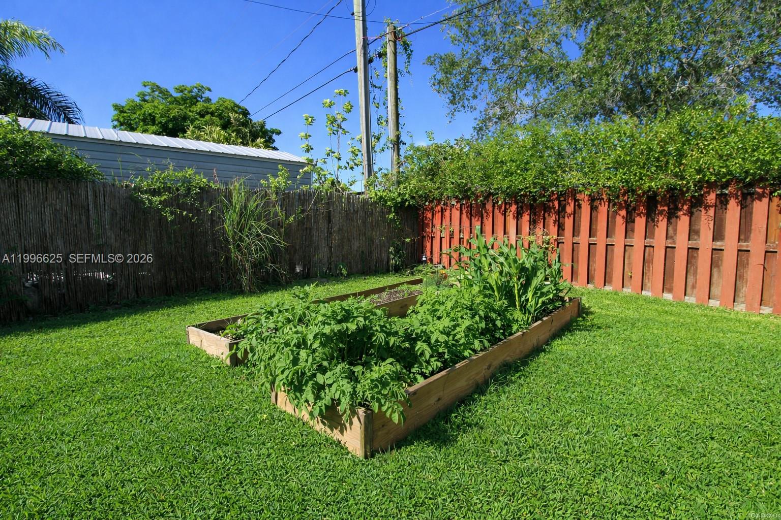 27420 Southwest 165th Avenue Homestead, FL 33031 - Photo 31 of 35 a view of a backyard with plants