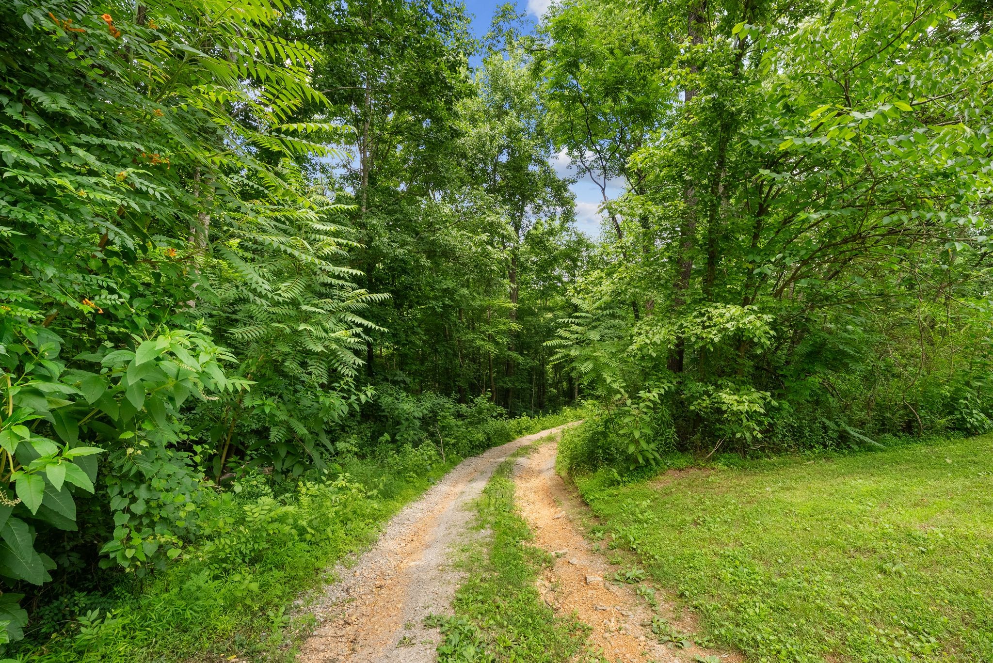 3352 R O Peach Road Columbia, TN 38401 - Photo 66 of 70