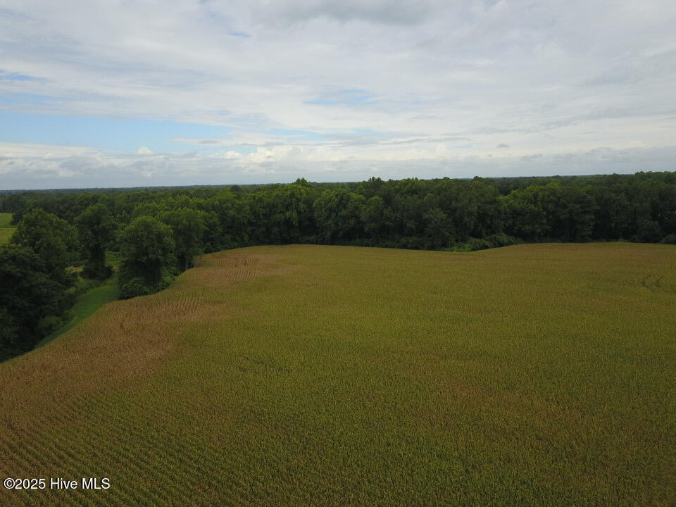 0 Lyman Road Chinquapin, NC 28521 - Photo 2 of 4 Rear