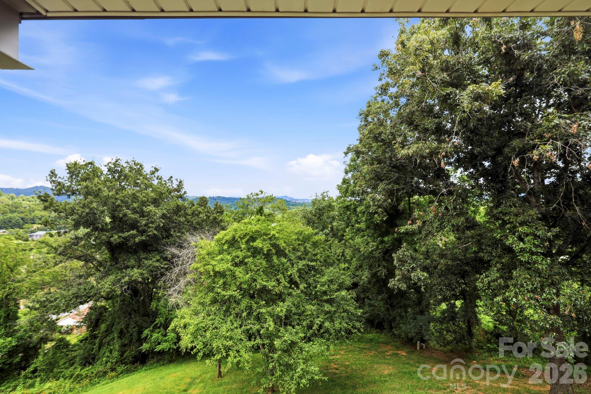 16 Audubon Drive Asheville, NC 28804 - Photo 4 of 47