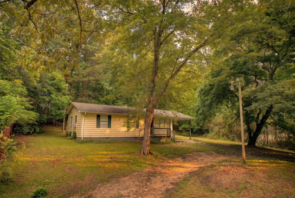 92 No-Where Road Blairsville, GA 30512 - Photo 36 of 36 a view of a house with backyard and trees