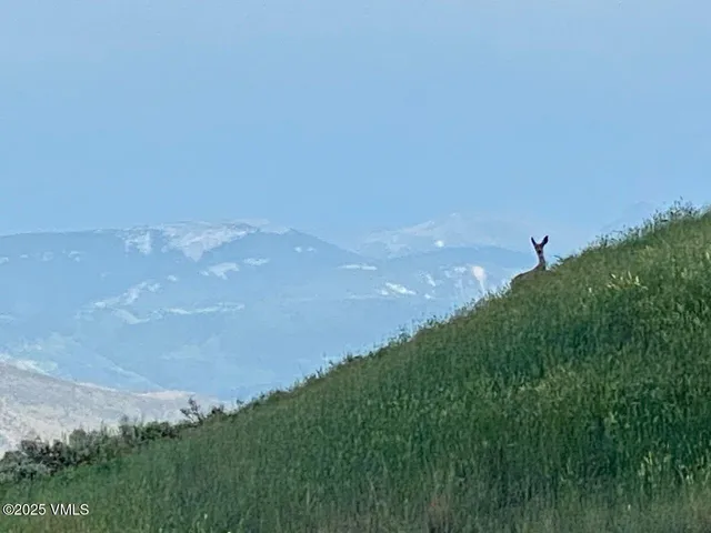 a view of a big yard with an outdoor space and seating