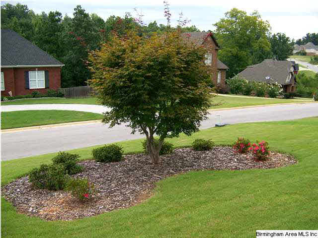 1245 Hickory Valley Road Trussville, AL 35173 - Photo 20 of 20
