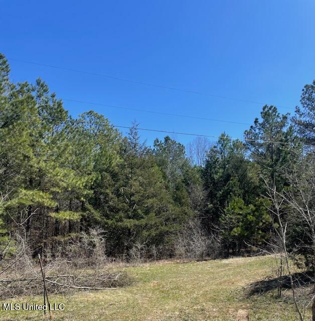 Tate Marshall Road Byhalia, MS 38611 - Photo 5 of 7 IMG_3987