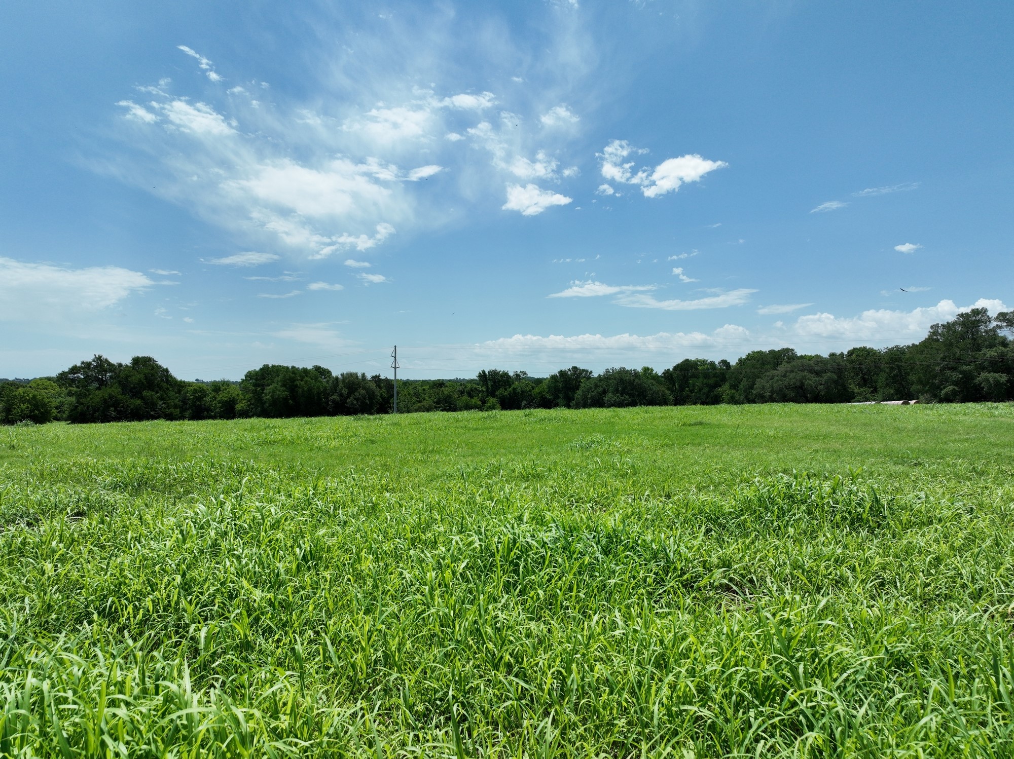 4410 Clay Crk Road Brenham, TX 77833 - Photo 11 of 23