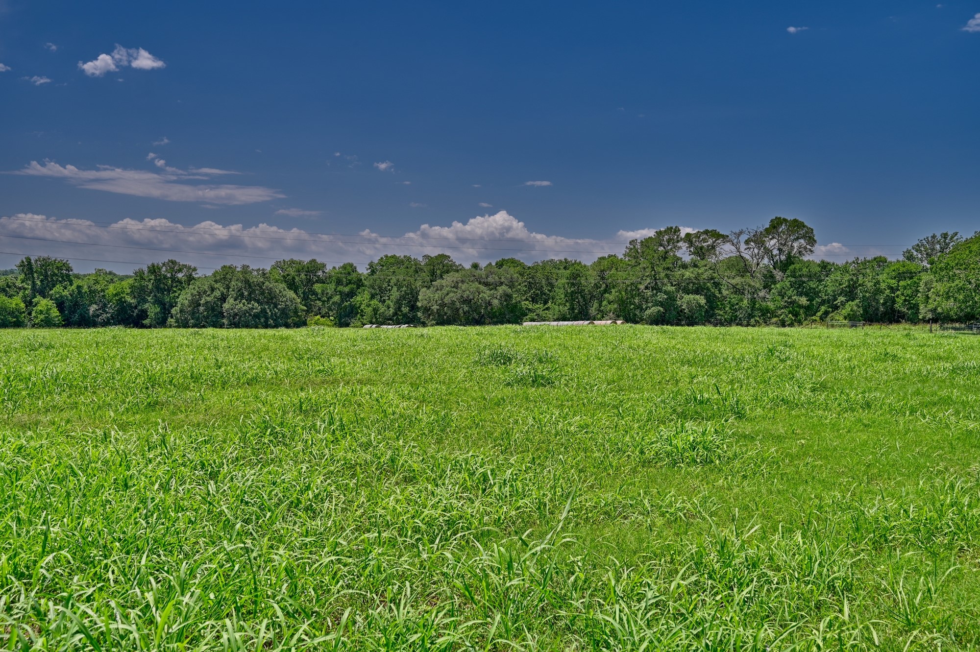 4410 Clay Crk Road Brenham, TX 77833 - Photo 15 of 23