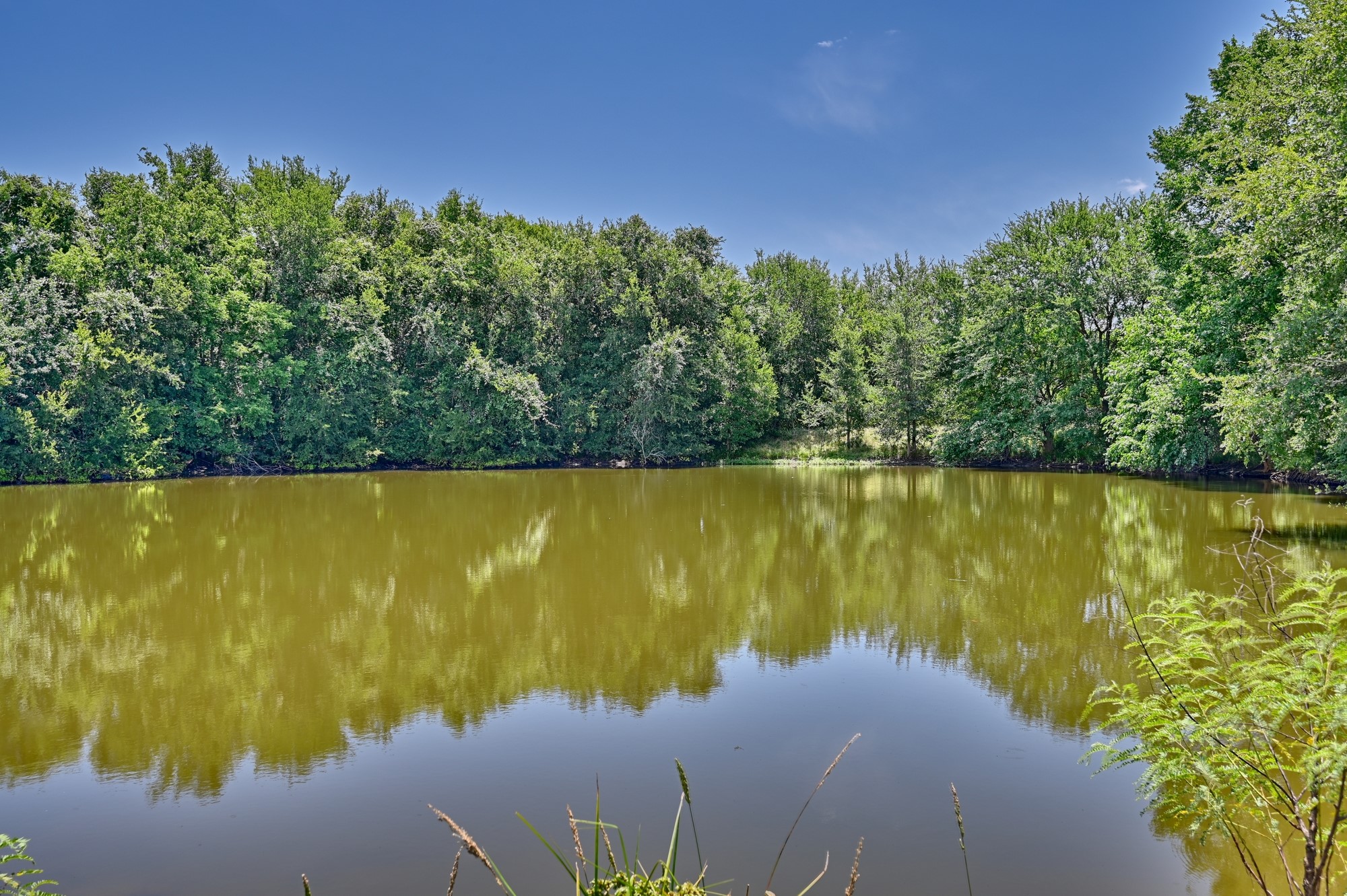 4410 Clay Crk Road Brenham, TX 77833 - Photo 20 of 23