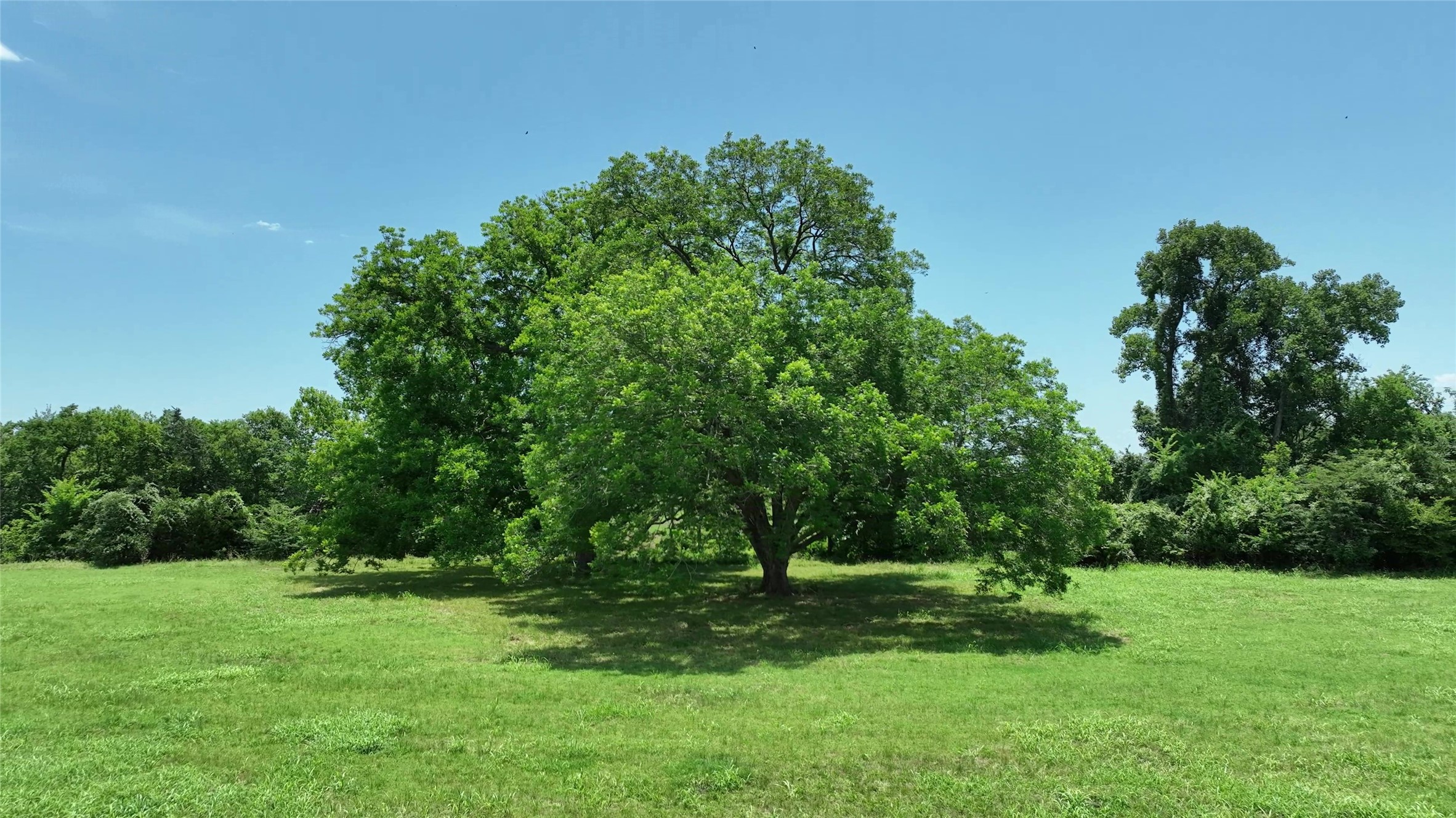 4410 Clay Crk Road Brenham, TX 77833 - Photo 21 of 23