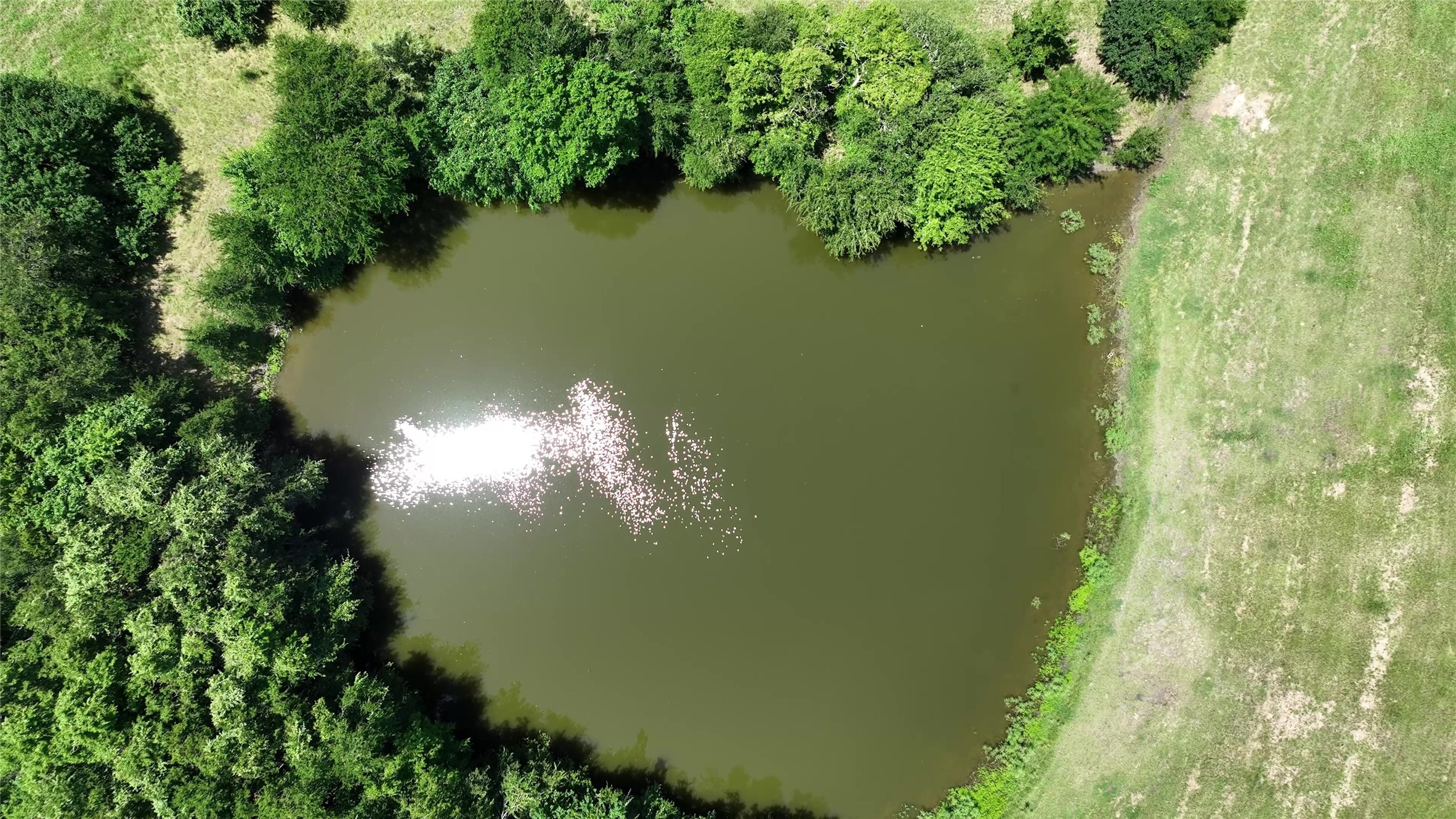 4410 Clay Crk Road Brenham, TX 77833 - Photo 22 of 23