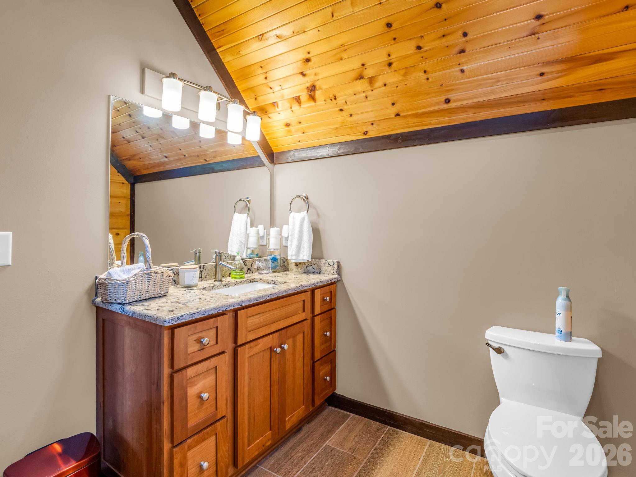 590 Boulder Ridge Lake Lure, NC 28746 - Photo 34 of 48 a bathroom with a toilet a sink and mirror