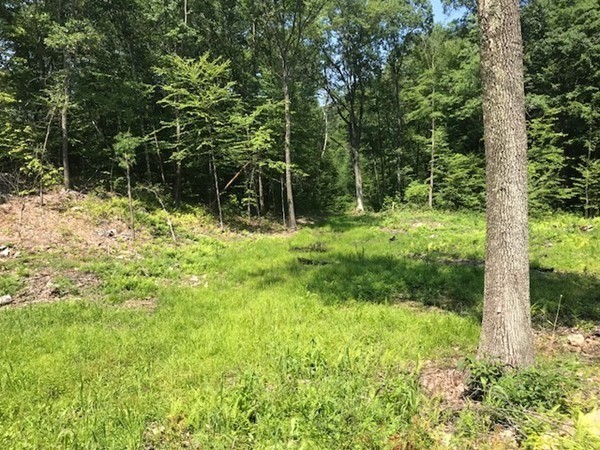 0 Depot Road Leverett, MA 01054 - Photo 1 of 7