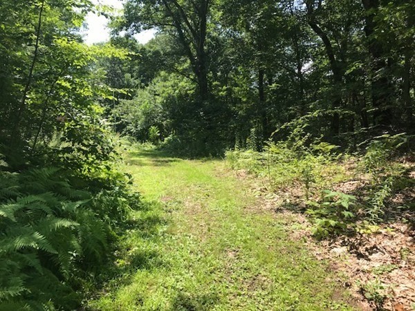 0 Depot Road Leverett, MA 01054 - Photo 2 of 7