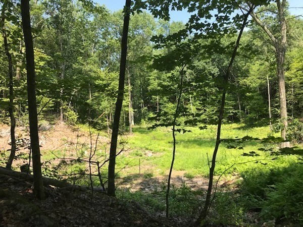 0 Depot Road Leverett, MA 01054 - Photo 3 of 7