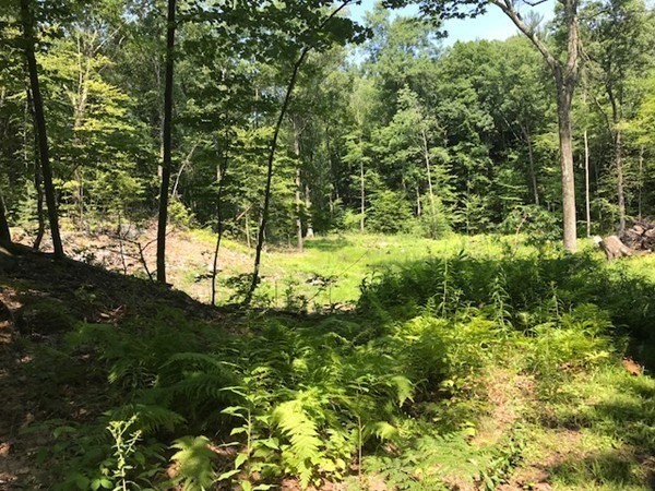 0 Depot Road Leverett, MA 01054 - Photo 4 of 7