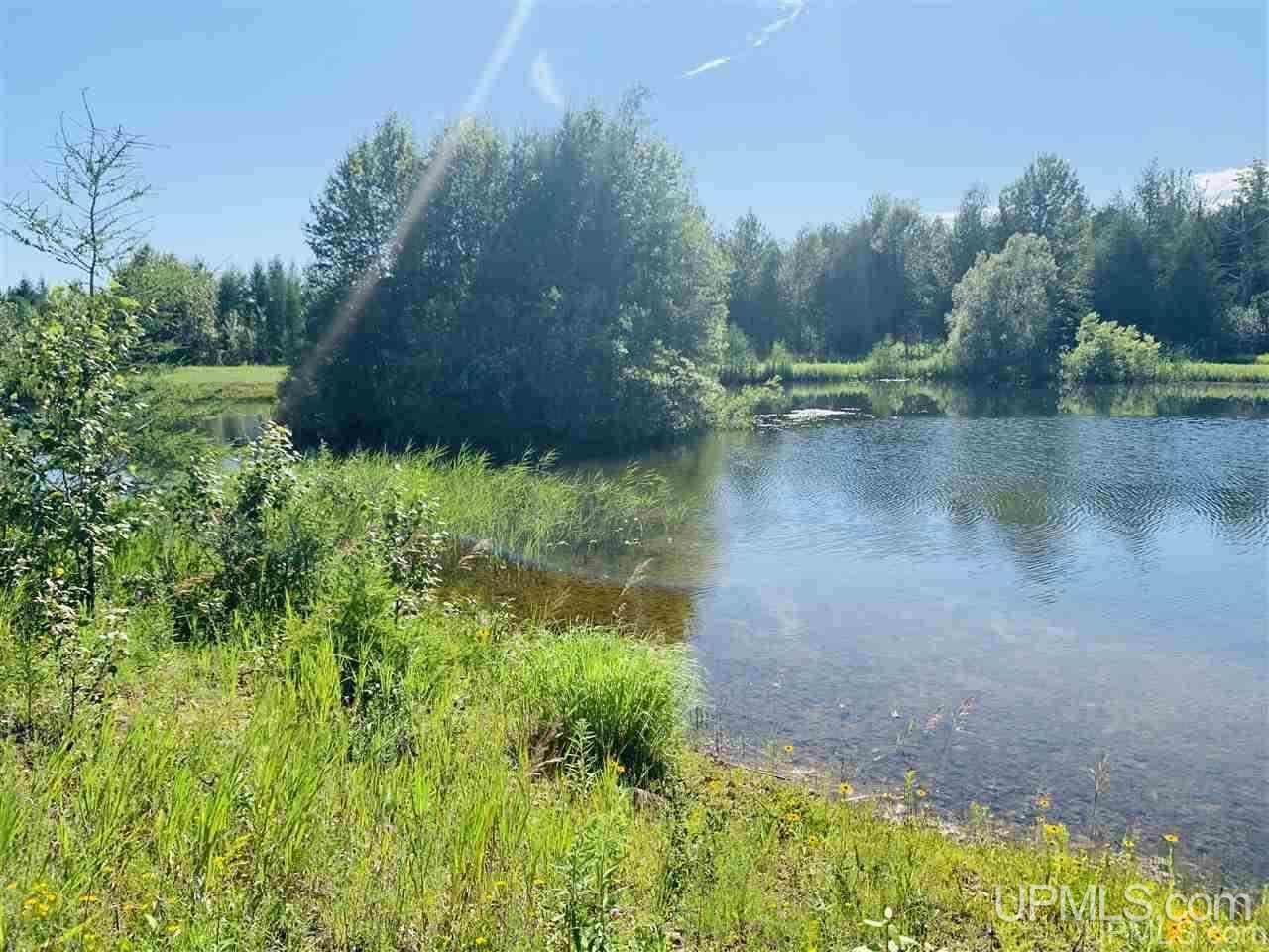 6005 G5 Road Escanaba, MI 49829 - Photo 7 of 42