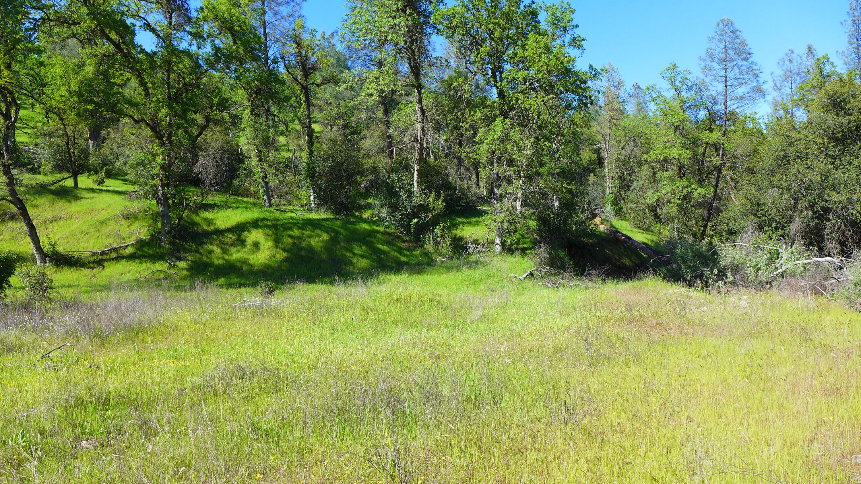 20-acres Lower Coal Pit Drive Anderson, CA 96007 - Photo 24 of 25 P1090415
