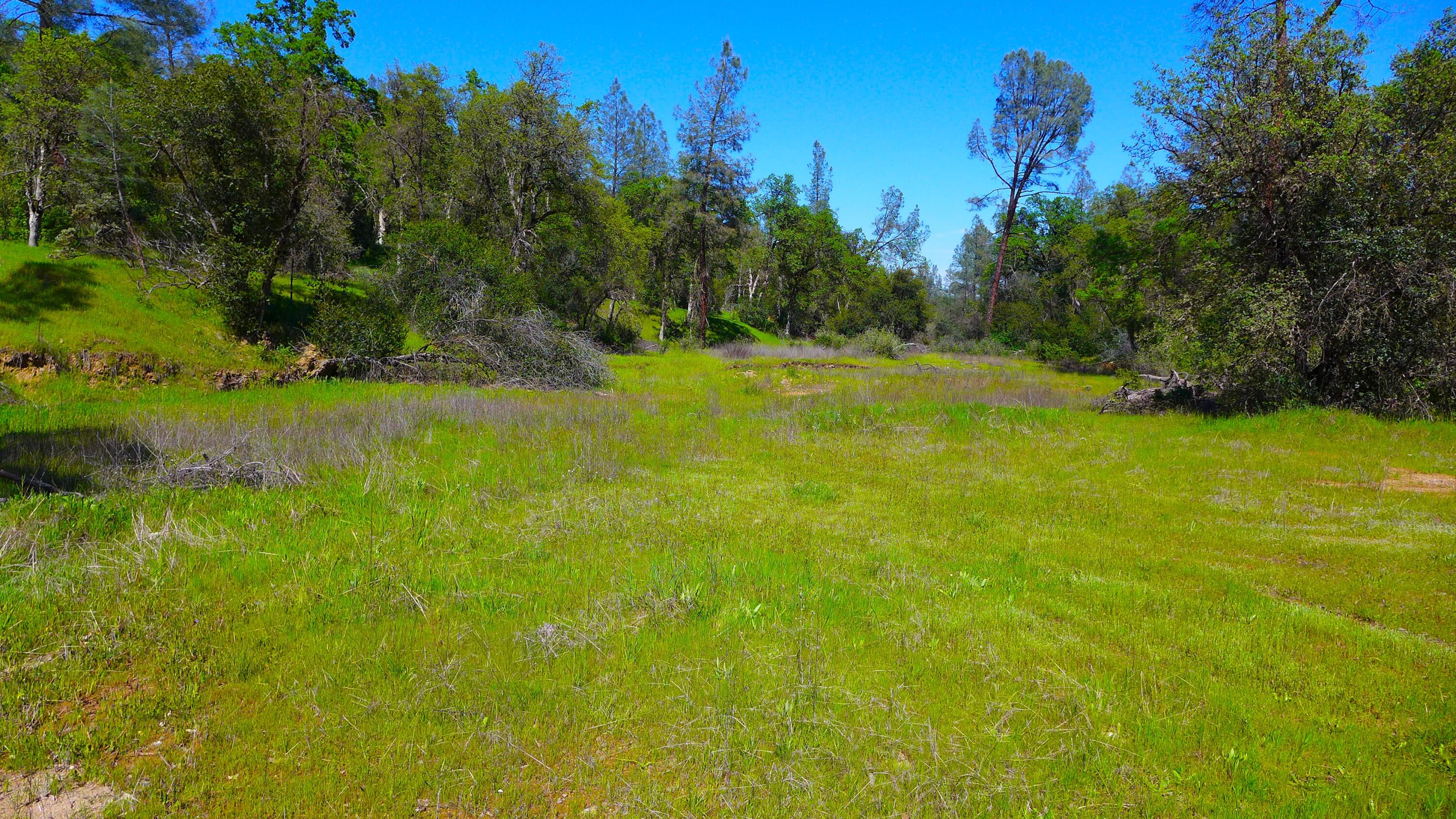 20-acres Lower Coal Pit Drive Anderson, CA 96007 - Photo 3 of 25 P1090393