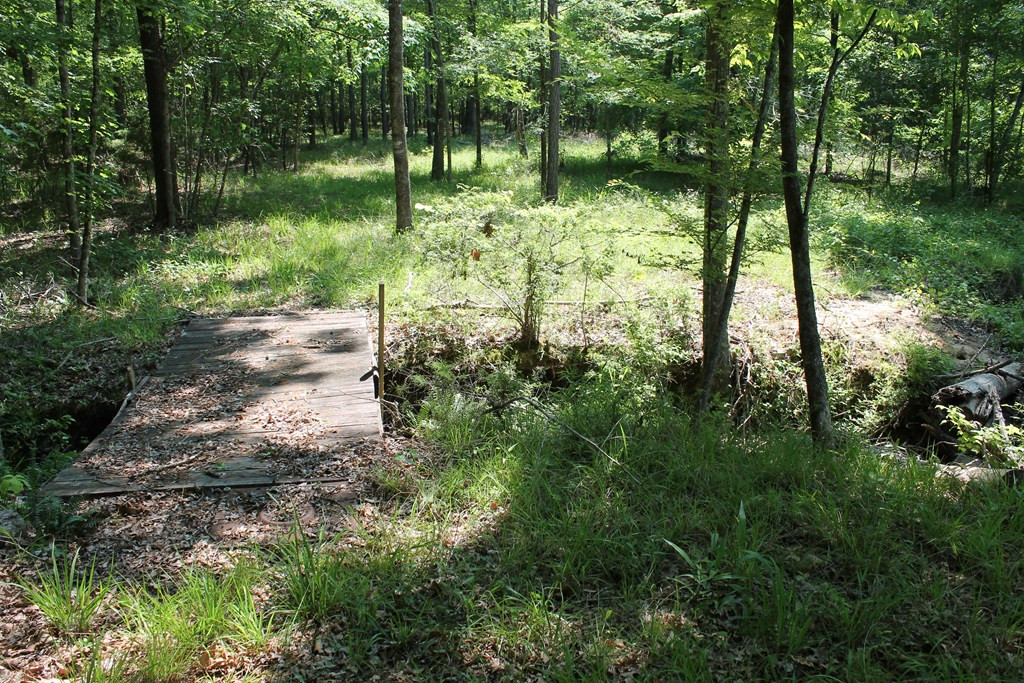 2178 Partridge Town Road Lincolnton, GA 30817 - Photo 7 of 21 Gallery Image 7