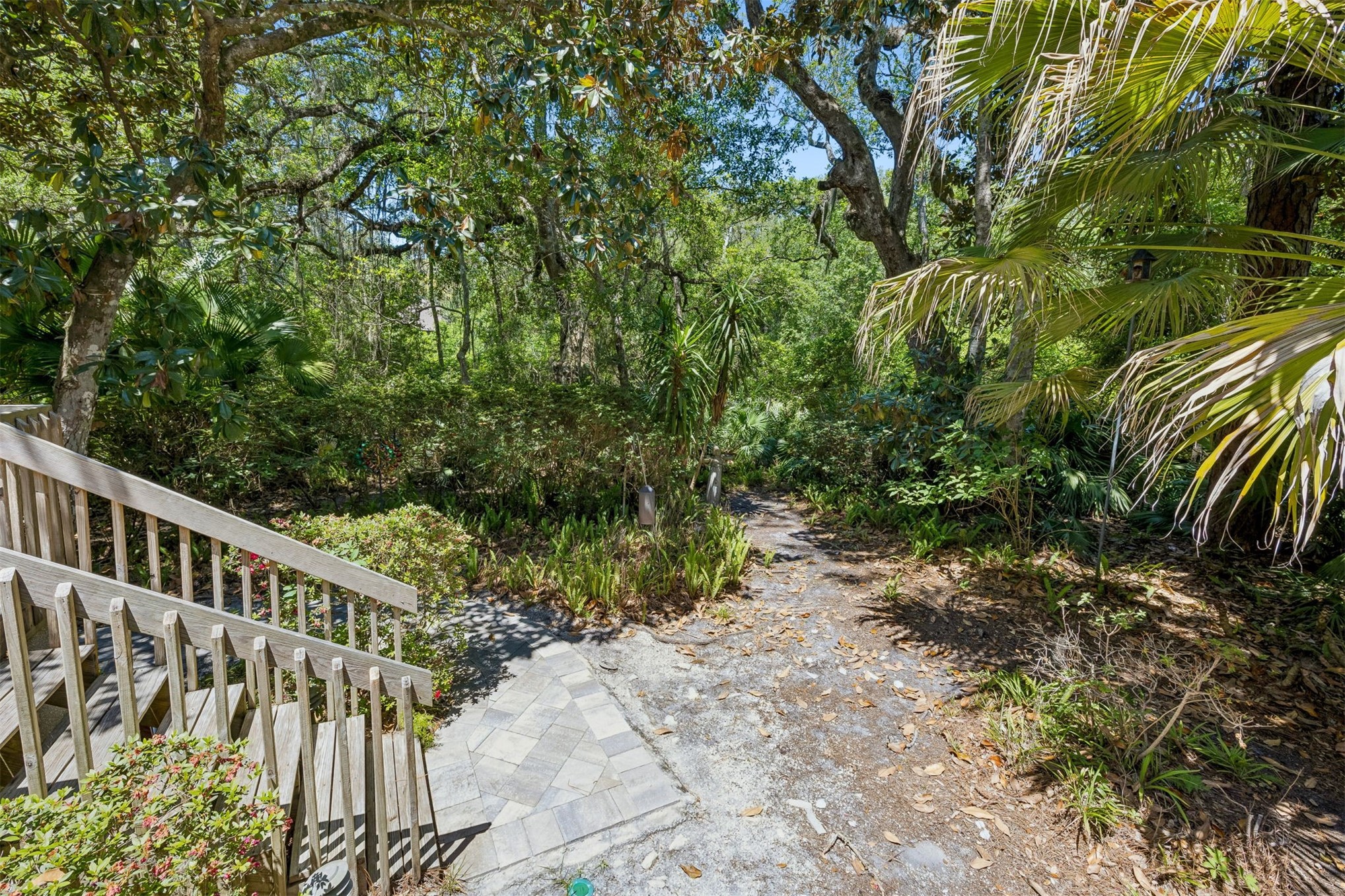57 Laurel Oak Road Fernandina Beach, FL 32034 - Photo 41 of 65 Backyard with preserve views