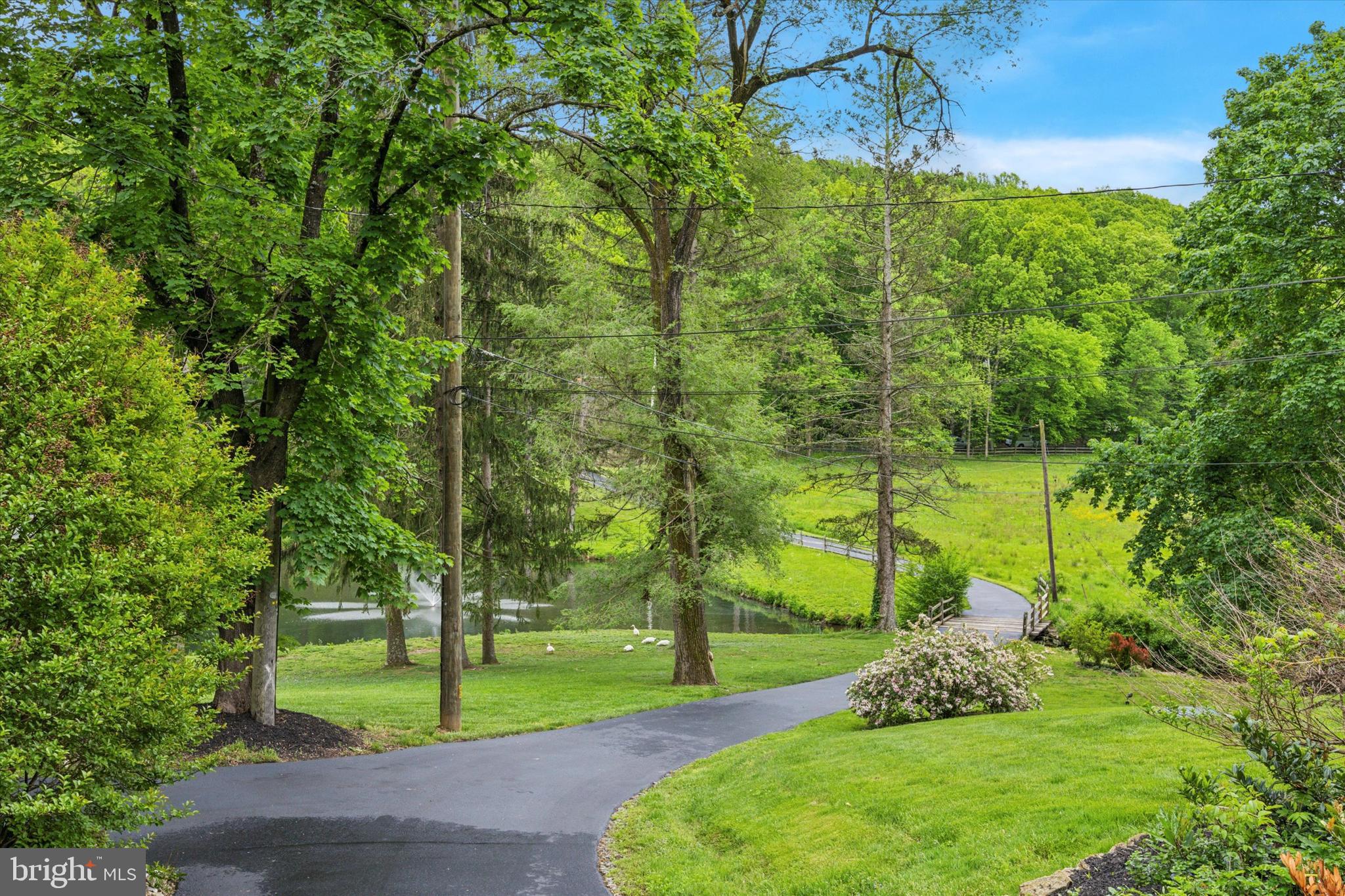 1211 Hollow Road Chester Springs, PA 19425 - Photo 51 of 53 Driveway from House and Barn to the Bridge