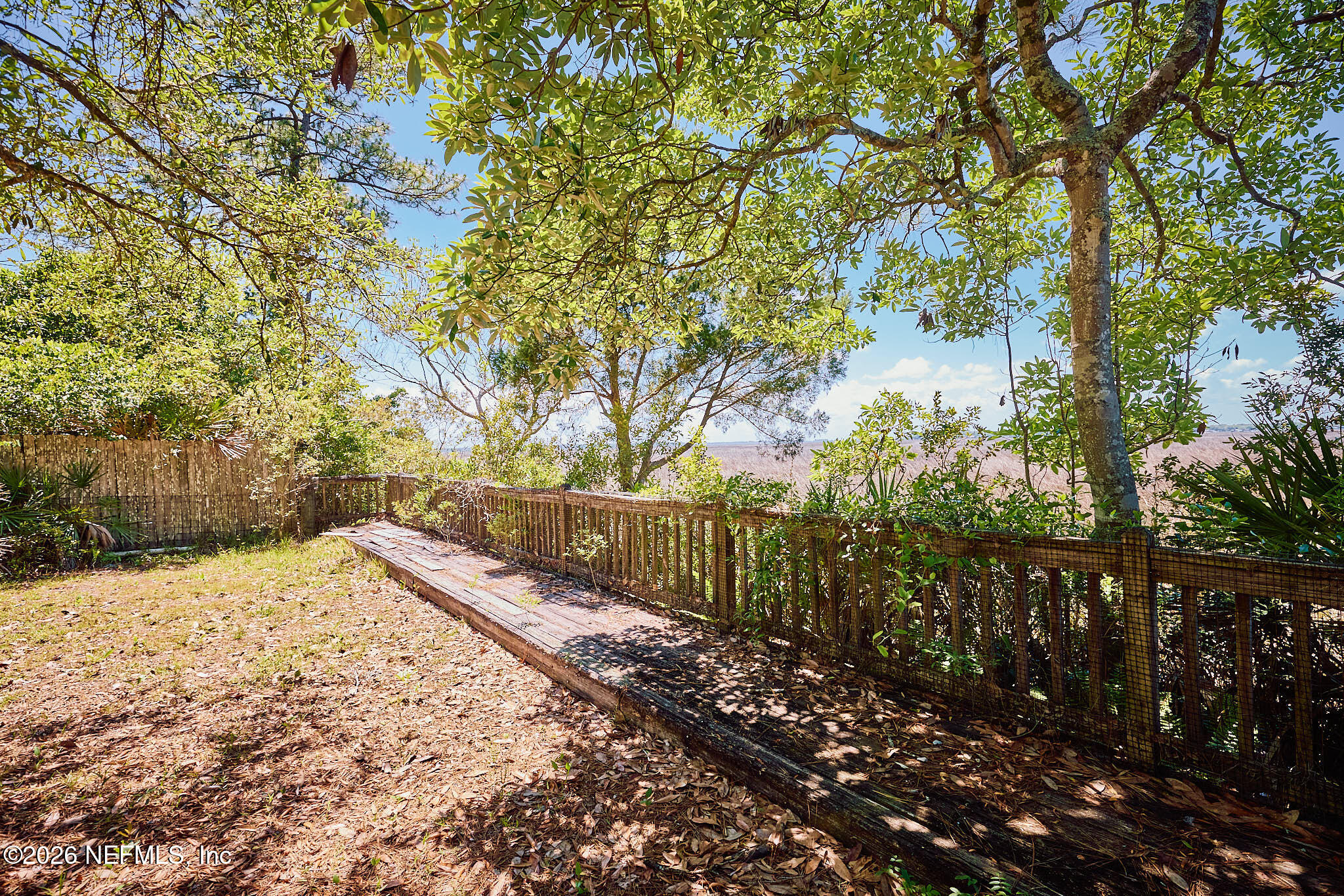 85404 Burmeister Road Fernandina Beach, FL 32034 - Photo 26 of 53 a view of a yard with plants and trees