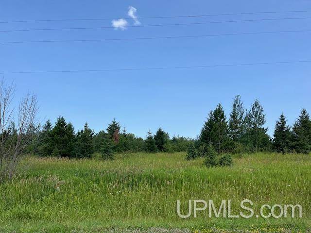 T-wi West Wi 54559 Road Saxon, WI 54559 - Photo 1 of 13