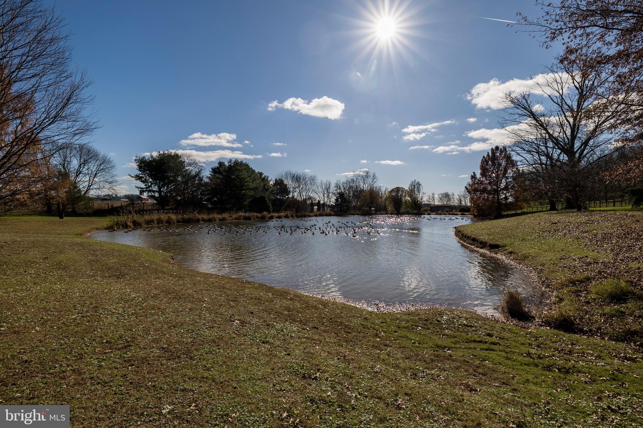 229 Balance Meeting Road Peach Bottom, PA 17563 - Photo 47 of 62