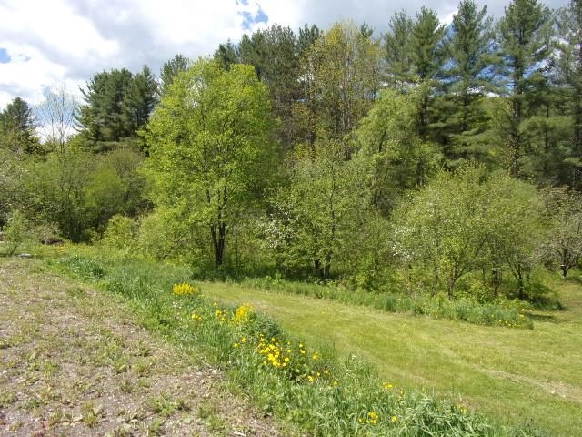 1539 Berlin Pond Road Northfield, VT 05663 - Photo 8 of 20