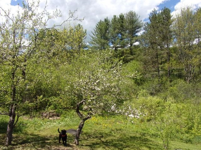 1539 Berlin Pond Road Northfield, VT 05663 - Photo 10 of 20