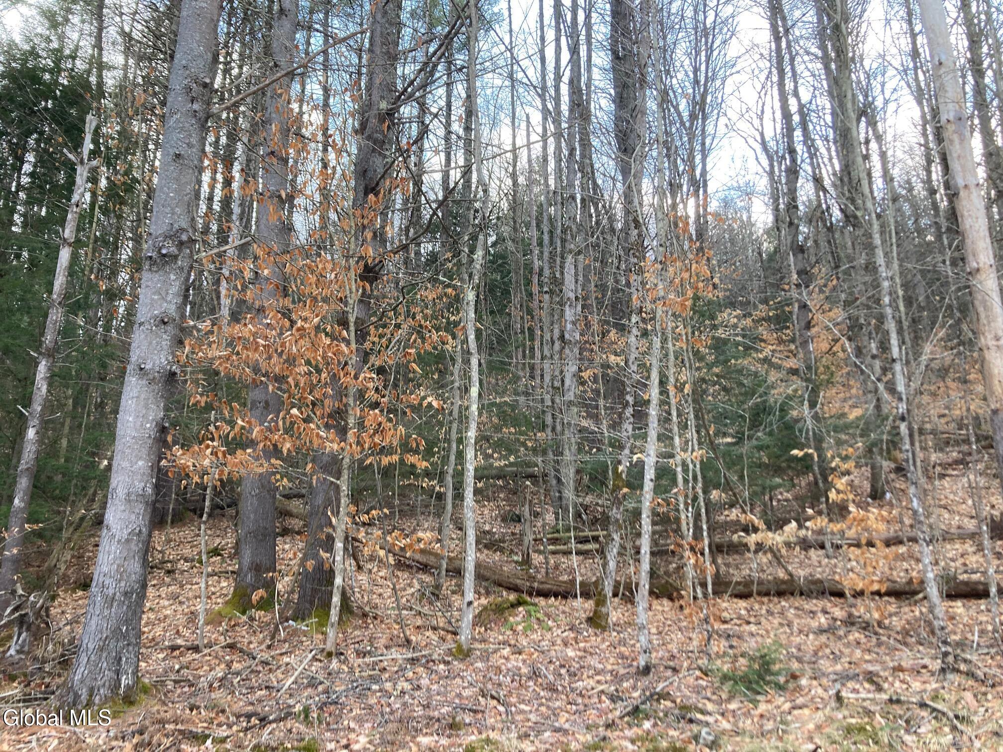 photo_1