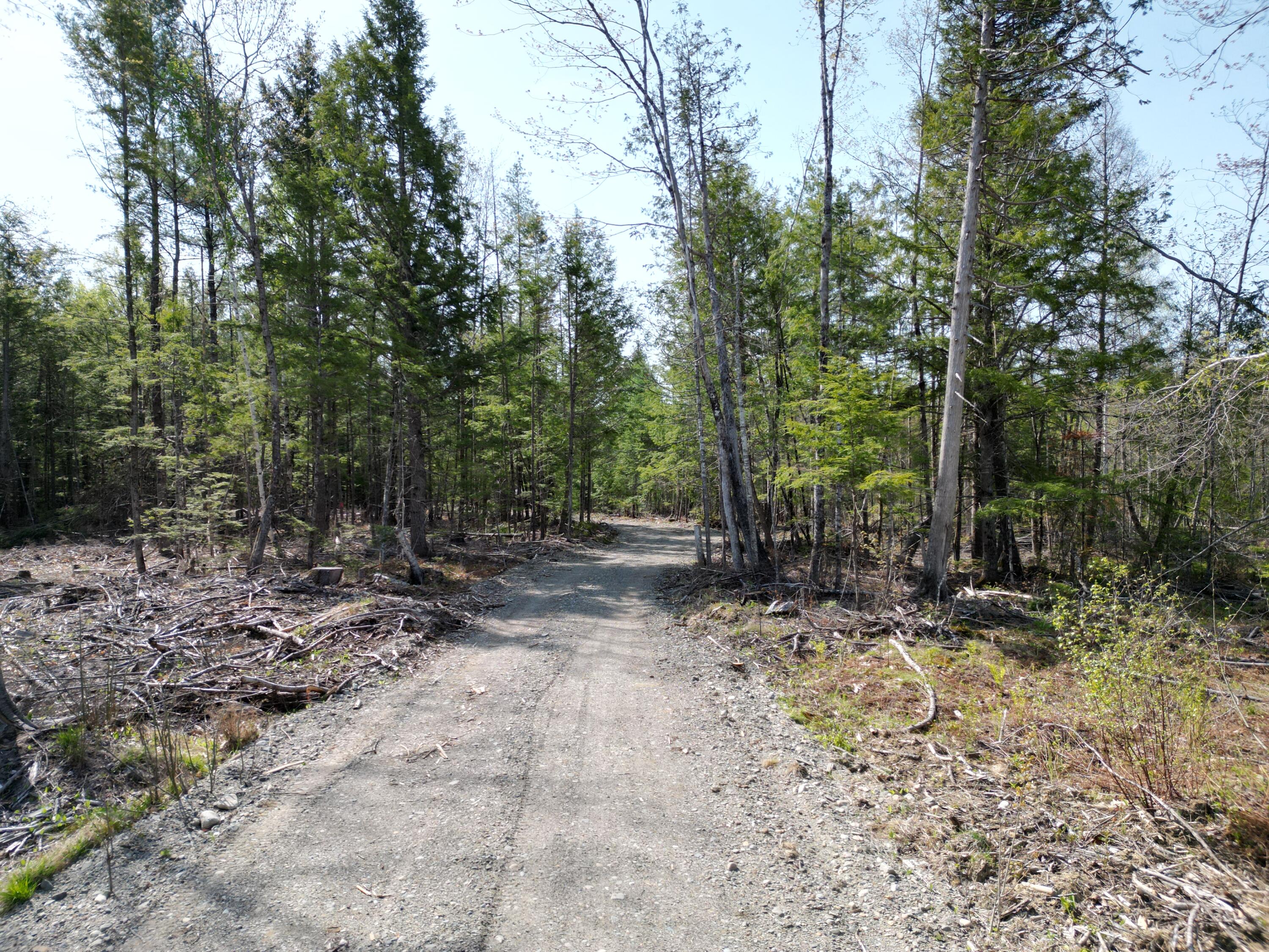 Lot 1 Mattamiscontis Road Howland, ME 04448 - Photo 3 of 15 DJI_0511
