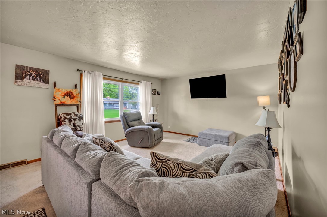 1141 Novak Road Grafton, OH 44044 - Photo 12 of 40 Gallery Image 12