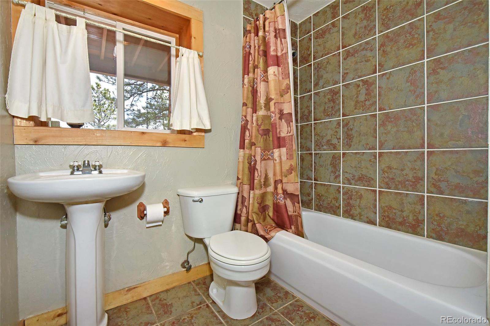 79 Buggy Whip Road Bailey, CO 80421 - Photo 27 of 39 a bathroom with a sink toilet and shower
