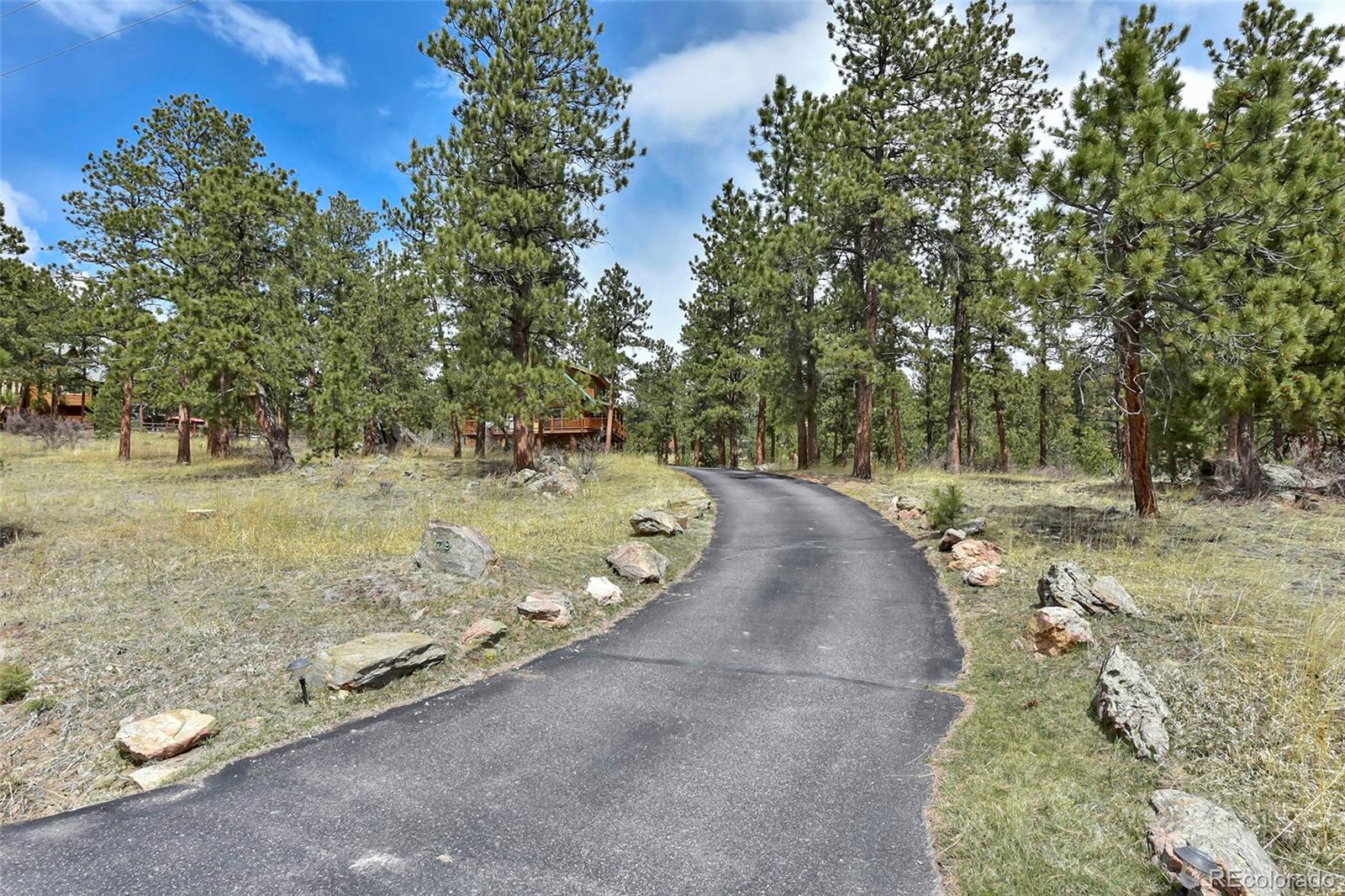 79 Buggy Whip Road Bailey, CO 80421 - Photo 30 of 39 a view of a backyard