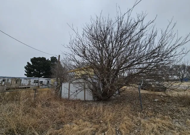 a view of a backyard with large trees